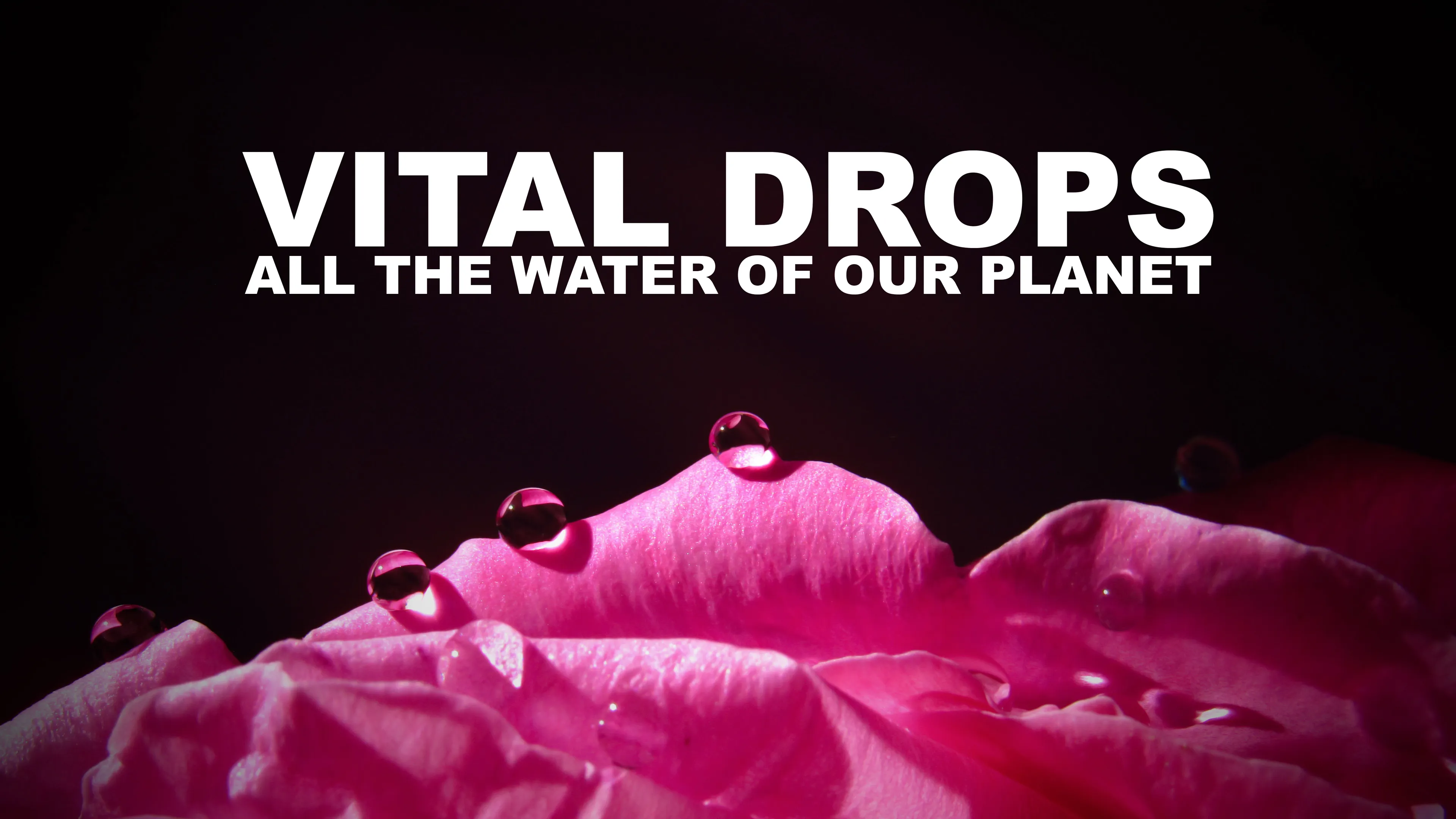 Vital Drops: All the Water of Our Planet poster